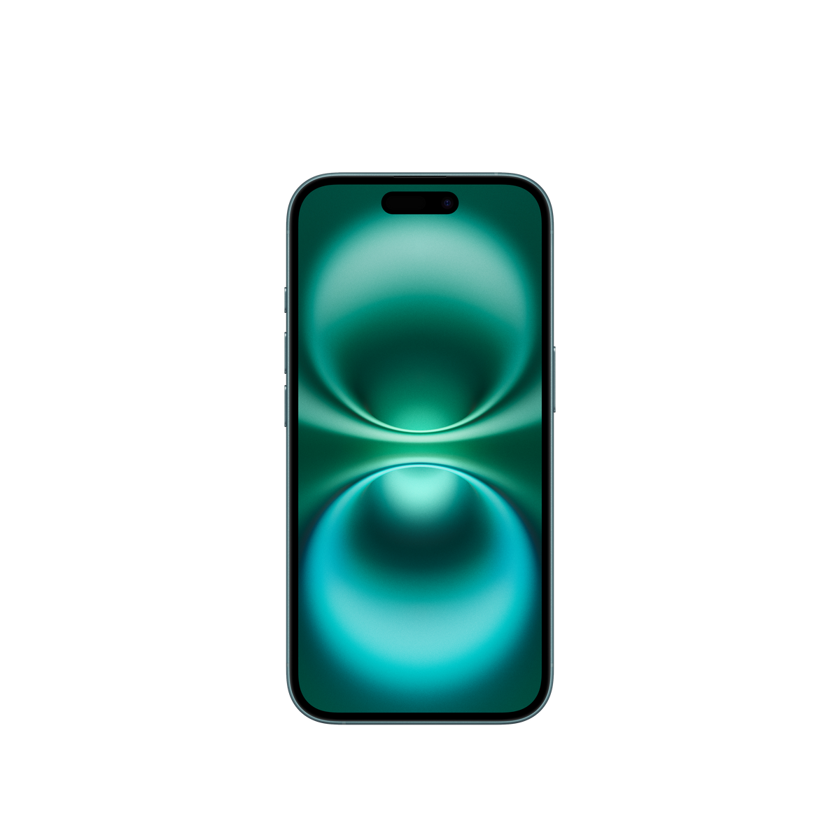 Teal | 42abfa7e-5a3e-47f9-8152-4eb5ef4ae541