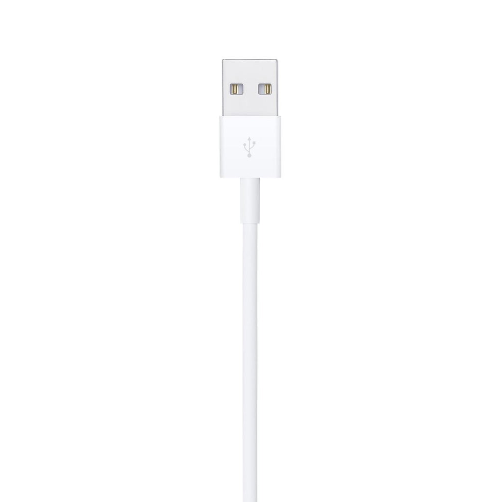 Apple Lightning to USB Cable (1m)