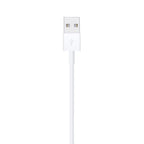 Apple Lightning to USB Cable (1m)
