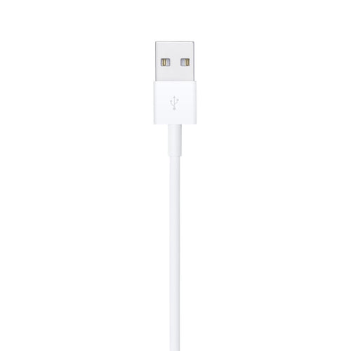 Apple Lightning to USB Cable (1m)
