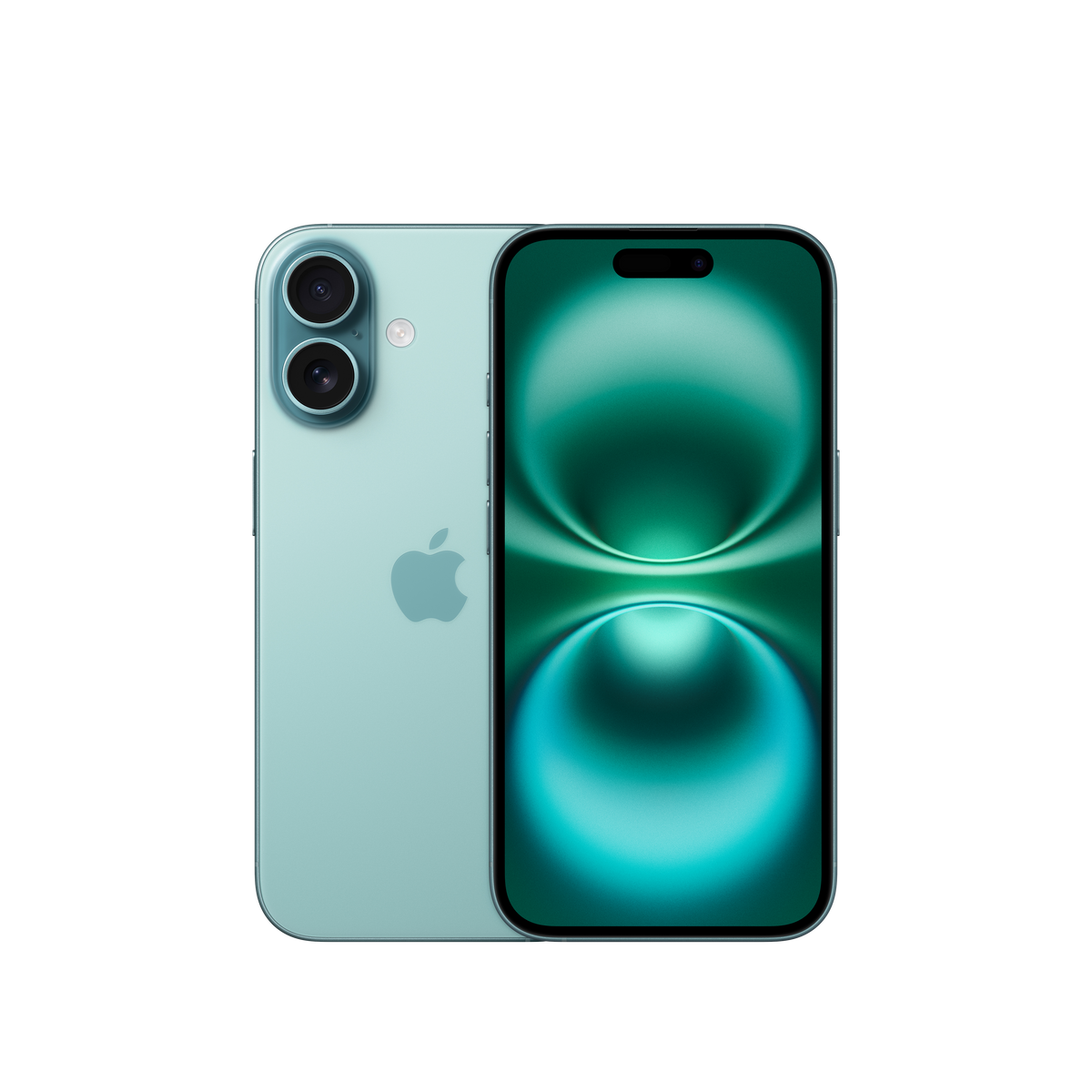 Teal | a103043d-ad83-4105-8ffe-cfcb1bba5a73