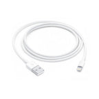 Apple Lightning to USB Cable (1m)